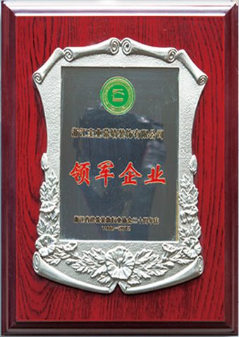 Leading enterprise of Zhejiang's building decoration industry, 2022